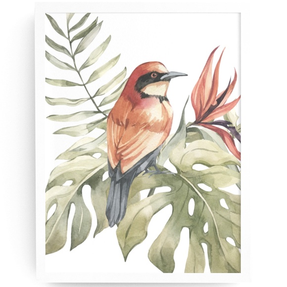 Bee-Eater Bird Watercolor Illustration Wall Art Print Poster Unframed - Picture 8 of 17